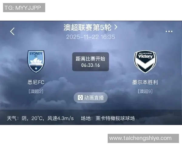 悉尼FC对阵墨尔本胜利的比赛前瞻与胜负预测分析