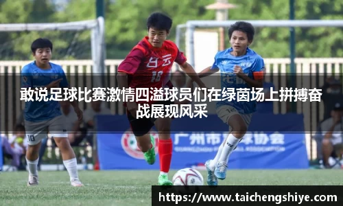 敢说足球比赛激情四溢球员们在绿茵场上拼搏奋战展现风采