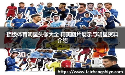 顶级体育明星头像大全 精美图片展示与明星资料介绍