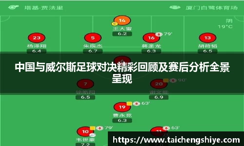 中国与威尔斯足球对决精彩回顾及赛后分析全景呈现